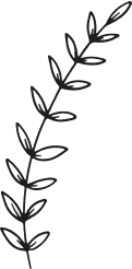 Produkter